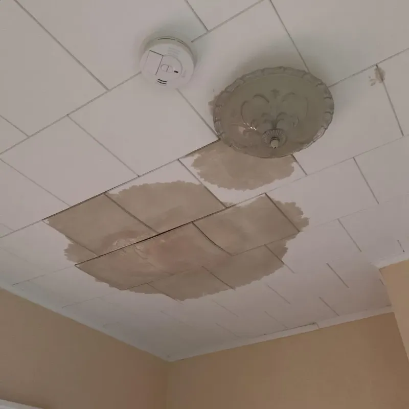 Ceiling Water Damage Repair in New Cumberland, WV