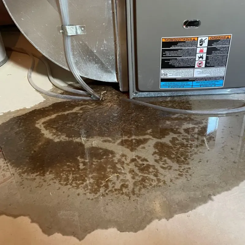 Pipe Burst and Leak Restoration in New Cumberland, WV